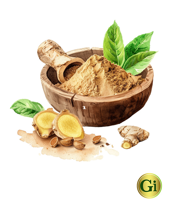 Suryanagri Ginger Powder 500 Gram