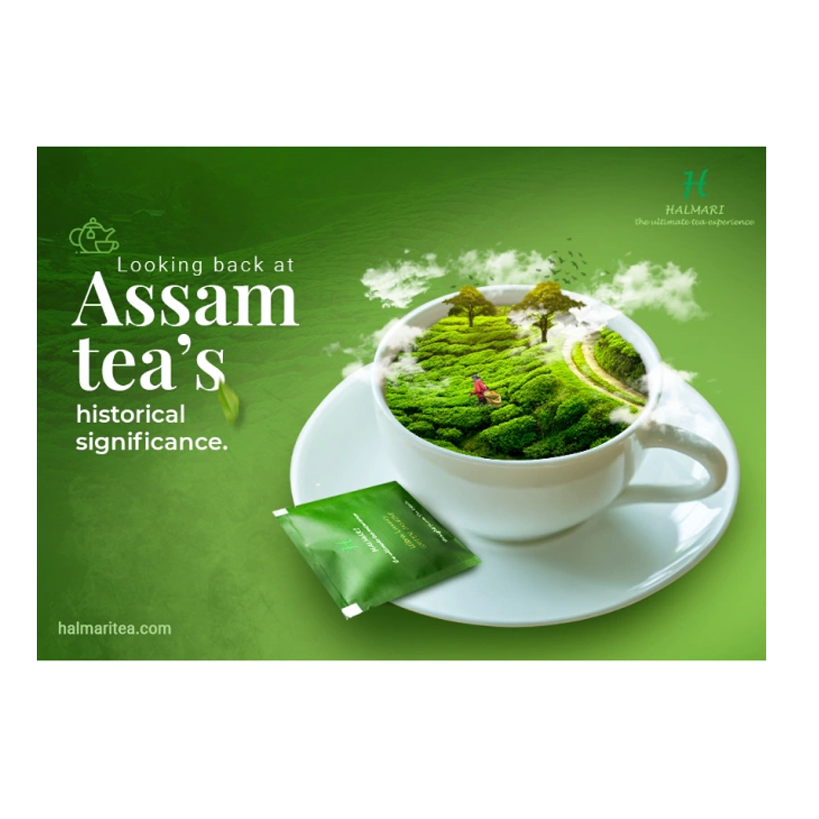 Tea – Assam – 500g