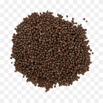 तोरीको दाना 500g